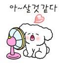 크린카스팀세차 이미지