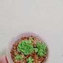 두야네 이미지
