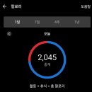 굿모닝복싱 | 2025.6.16 오늘의 운동 기록 (feat. 가민 베뉴 &amp; 심재복싱)