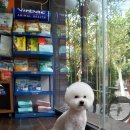 민 동물병원(동물미용) 이미지