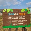 신기리마을회관 이미지