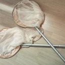 새싹2호농장 이미지