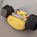 더 스페셜짐 이미지