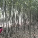 신평공원 이미지