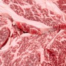 청년정육백화점 이미지