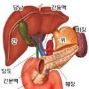 암환자 자연치유방법 이미지