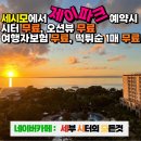 제이의하루