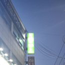 도마뱀있ZOO