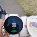 대가야소고기국밥 이미지