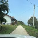 스테이 산위 이미지