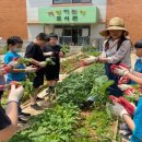 희망초등학교 이미지