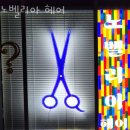 노벨리아 헤어 이미지