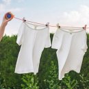 빨래박사 이미지