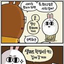 사치 이미지