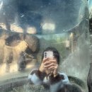 구좌 라파 김두성 할머니집 이미지