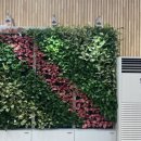 지평선 새마루 이미지