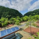 좌구산캠핑장 이미지