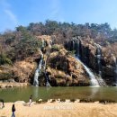 임해농장 | 공공서비스 서울시 프로그램 이용후기