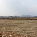 성심주유소 이미지