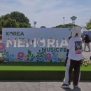 피크닉콘 | 2025 NELL말정산(2025 넬 콘서트 후기 모음)