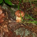 신창선 농장 이미지