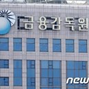 금융감독원 이미지