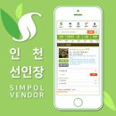 [심폴 입점사] 인천선인🌱🏬 (다육/선인장/원예자재류)