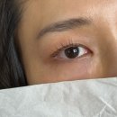 돋질로L | 울산 달동 속눈썹 펌 레온뷰티 속쌍 L컬 후기