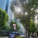 역삼우리공인중개사사무소 이미지