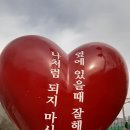 소담막국수 이미지