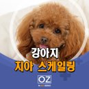 Dr. 오즈 동물병원 이미지