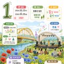 [장성] 미리가본 장성 황룡강 음악축제 이미지