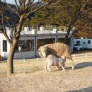 연두목장 이미지