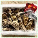 11260-2-10-10 | 하고잽이수산 프리미엄 통영 석화 굴 (조개칼+회초장증정), 1박스, 10kg 리뷰와 함께 알아보기