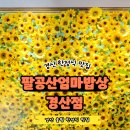 바음 | 경산 맛집 팔공산엄마밥상 경산점 정갈한 한식 한상 후기