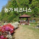 Healing Farm Stay 이미지