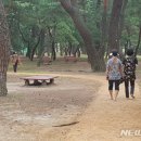 송림톱밥 이미지