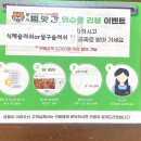 범앗간초전