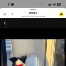 댕모먼트 이미지