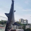 항구 pc방 이미지