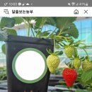 달을보는농부 이미지