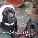 희대농장 이미지