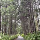 사이프러스골프리조트 | 사이프러스 골프&amp;리조트