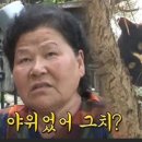 시샘달하루
