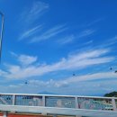 앵강 약초 공원 이미지