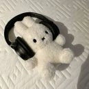 아그네스뷰티