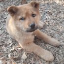 북면 종합복지회관 이미지