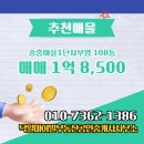 부영공인중개사사무소 이미지