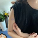 반려 뱀 데려온 주간 일기