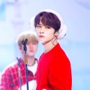리노머리가